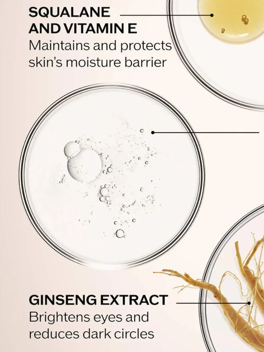**5/$25** BEAUTY – SHISEIDO Benefiance Wrinkle Smoothing Eye Cream